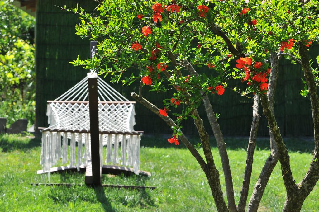 Grenadine Lodge Dalyan Zewnętrze zdjęcie